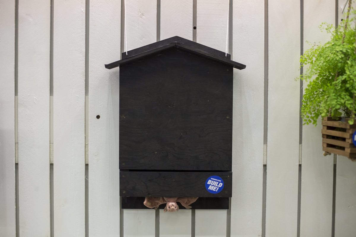 Best ideas about Bat House DIY
. Save or Pin How To Build A Bat House DIY Bat House Plan Now.