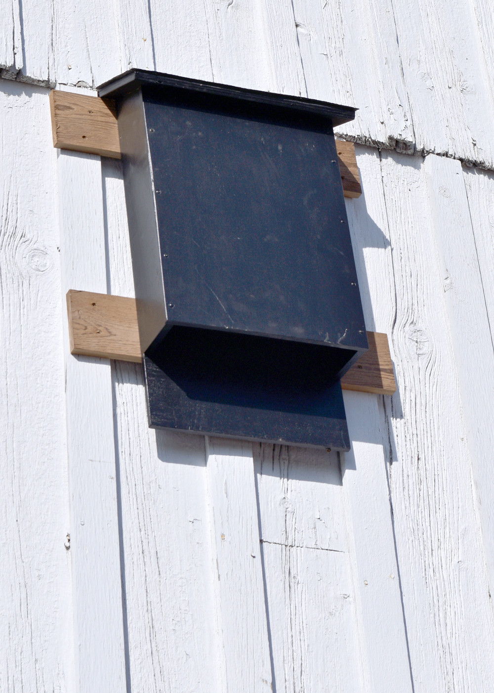 Best ideas about Bat House DIY
. Save or Pin How to Build a Bat House Now.