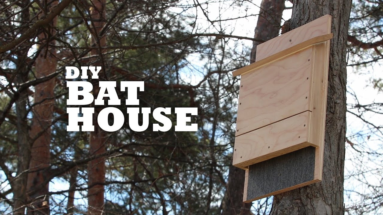 Best ideas about Bat House DIY
. Save or Pin DIY Bat House Now.