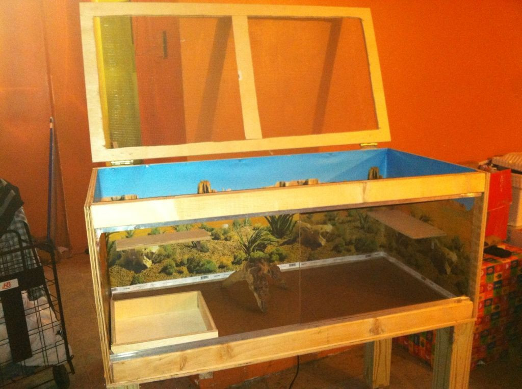 Best ideas about Bearded Dragon Enclosure DIY
. Save or Pin Best Bearded Dragon Habitat 40 meowlogy Now.