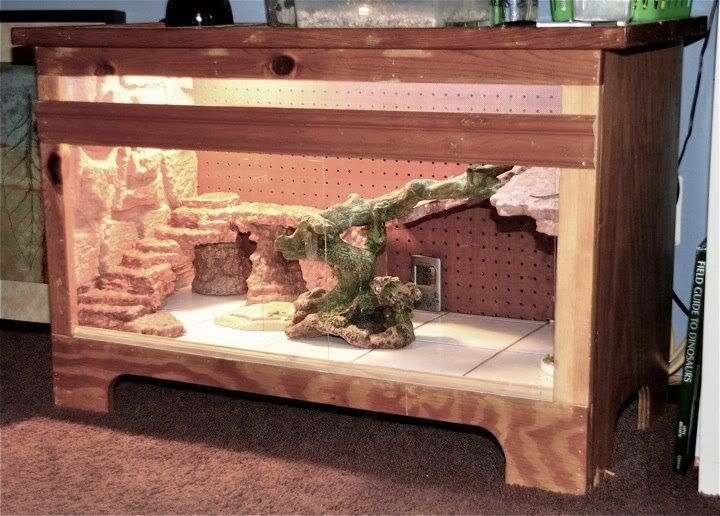 Best ideas about Bearded Dragon Enclosure DIY
. Save or Pin Bearded Dragon Vivarium Furniture Now.