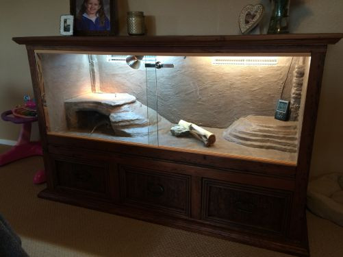 Best ideas about Bearded Dragon Enclosure DIY
. Save or Pin Custom Enclosure From a Dresser • Bearded Dragon org Now.