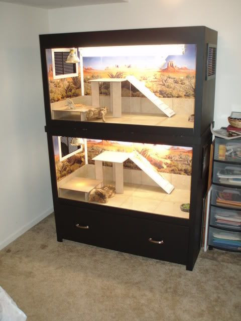 Best ideas about Bearded Dragon Enclosure DIY
. Save or Pin 25 best ideas about Bearded Dragon Enclosure on Pinterest Now.