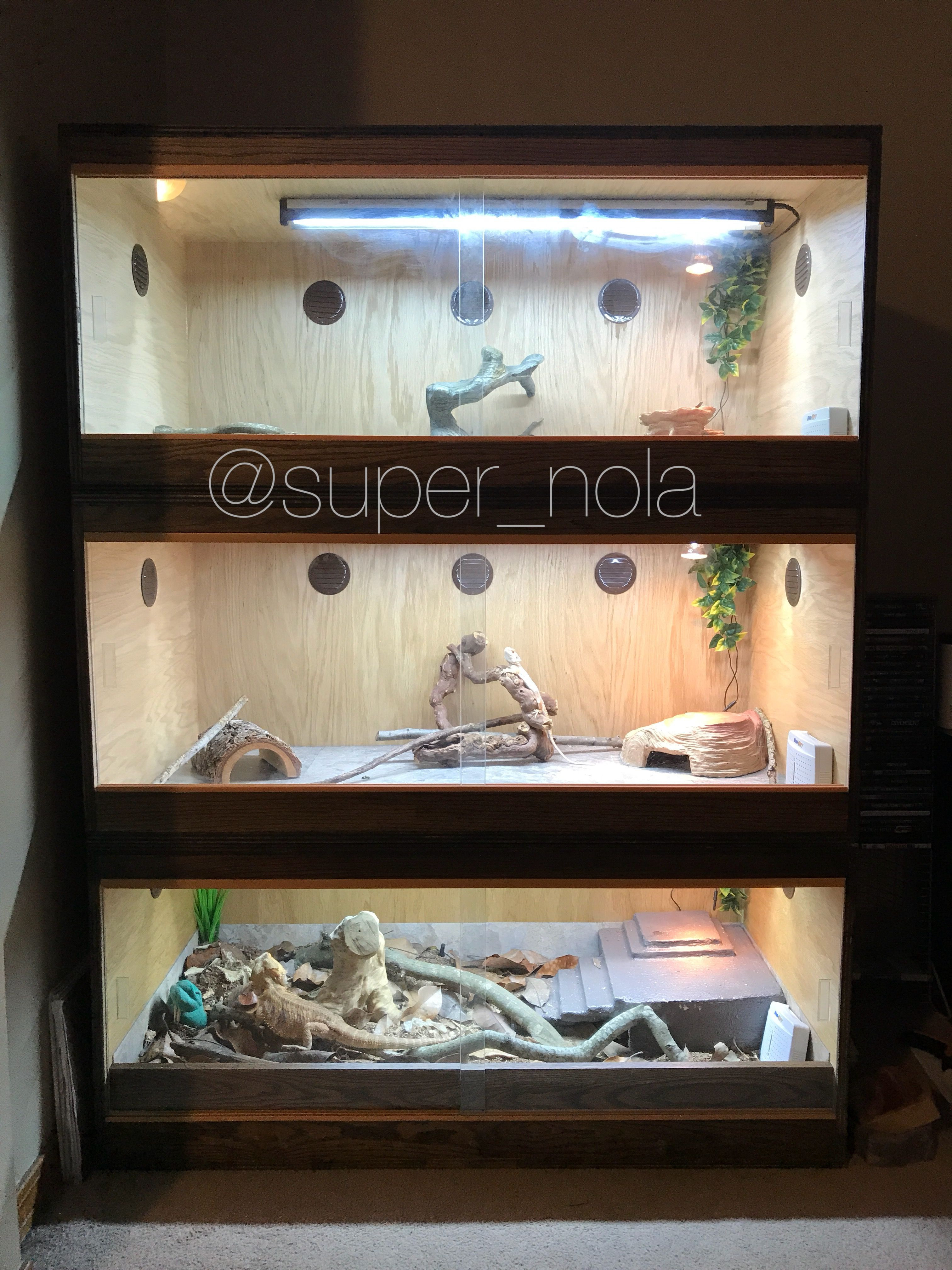 Best ideas about Bearded Dragon Enclosure DIY
. Save or Pin DIY custom 3 tier wooden enclosures for bearded dragons Now.