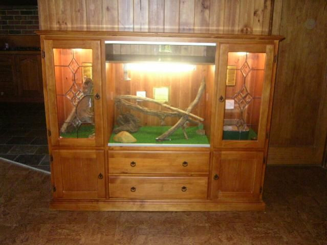 Best ideas about Bearded Dragon Enclosure DIY
. Save or Pin 8 best Reptile Enclosures images on Pinterest Now.