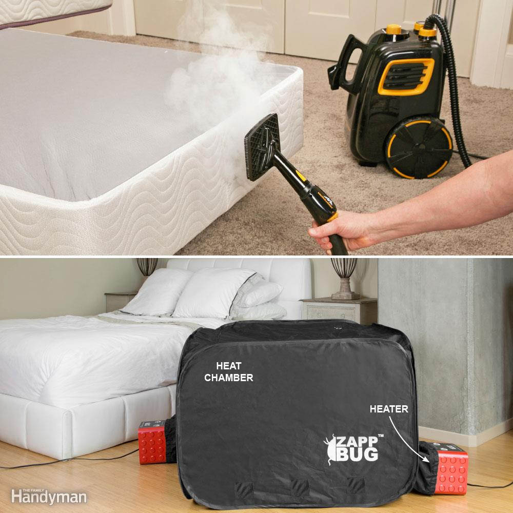 Best ideas about Bed Bug DIY
. Save or Pin Get Rid of Bed Bugs A DIY Guide Now.