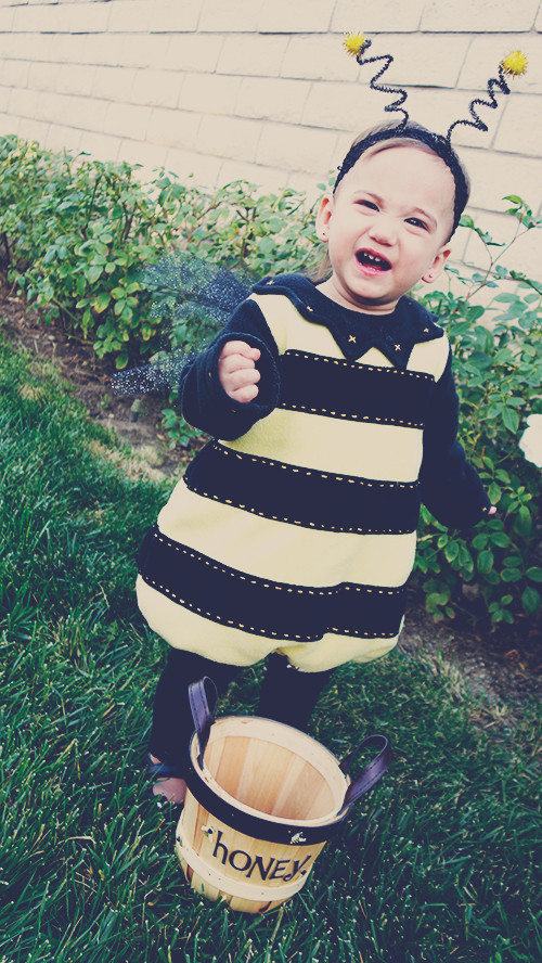 Best ideas about Bee Costume DIY
. Save or Pin DIY Bumble Bee Costume Now.