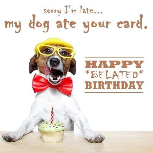 Best ideas about Belated Birthday Funny
. Save or Pin Funny Belated Birthday Wishes Now.