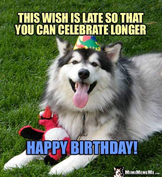 Best ideas about Belated Birthday Meme Funny
. Save or Pin 100 Funniest Happy Birthday Dog Memes Now.