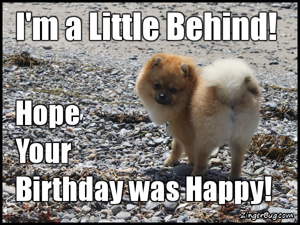 Best ideas about Belated Birthday Meme Funny
. Save or Pin Belated Birthday Glitter Graphics ments GIFs Memes Now.