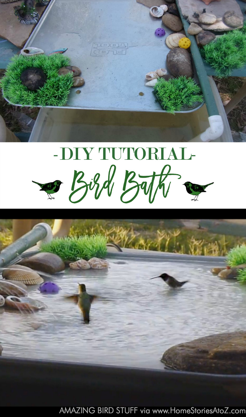 Best ideas about Bird Bath DIY
. Save or Pin DIY Garden Planter & Birds Bath Now.