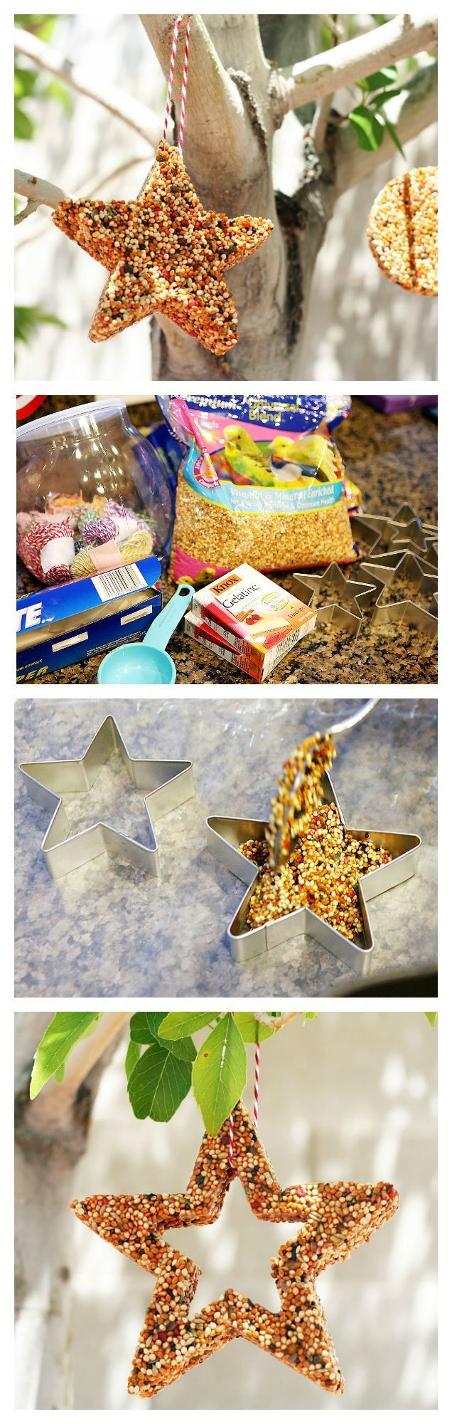 Best ideas about Bird Crafts For Adults
. Save or Pin Bird Feeders CRAFTS For Kids Now.