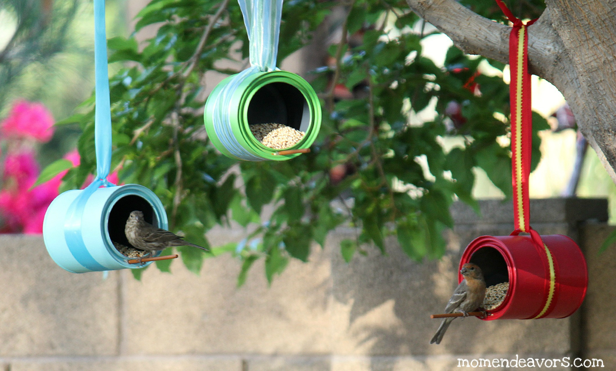 Best ideas about Bird Feeder DIY
. Save or Pin DIY Bird Feeders Now.