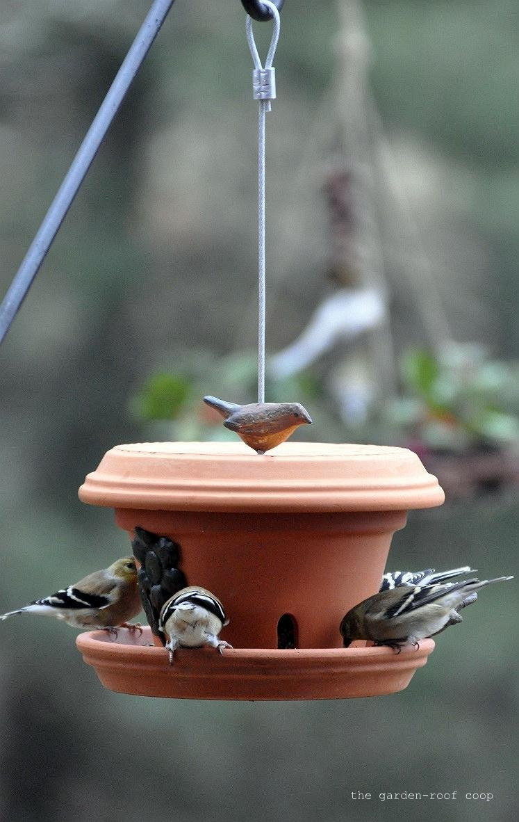 Best ideas about Bird Feeder DIY
. Save or Pin the garden roof coop DIY Flowerpot Bird Feeder Now.