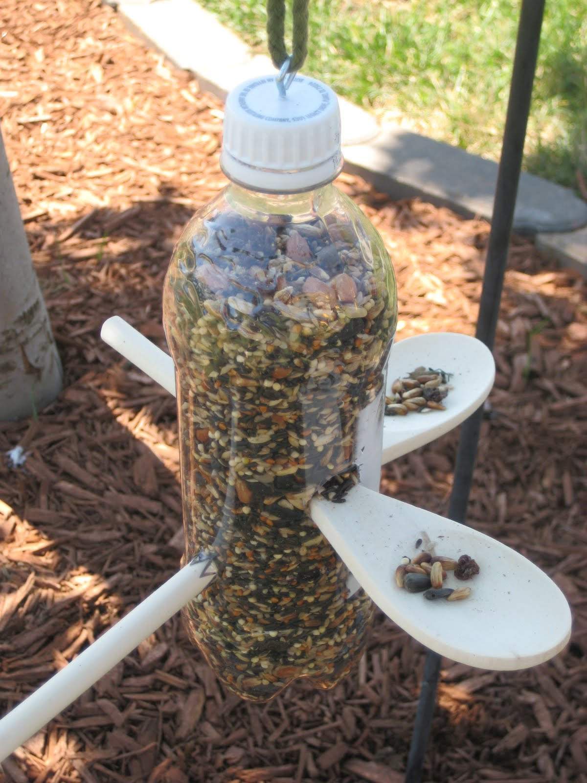 Best ideas about Bird Feeder DIY
. Save or Pin Relentlessly Fun Deceptively Educational Bird Feeder and Now.