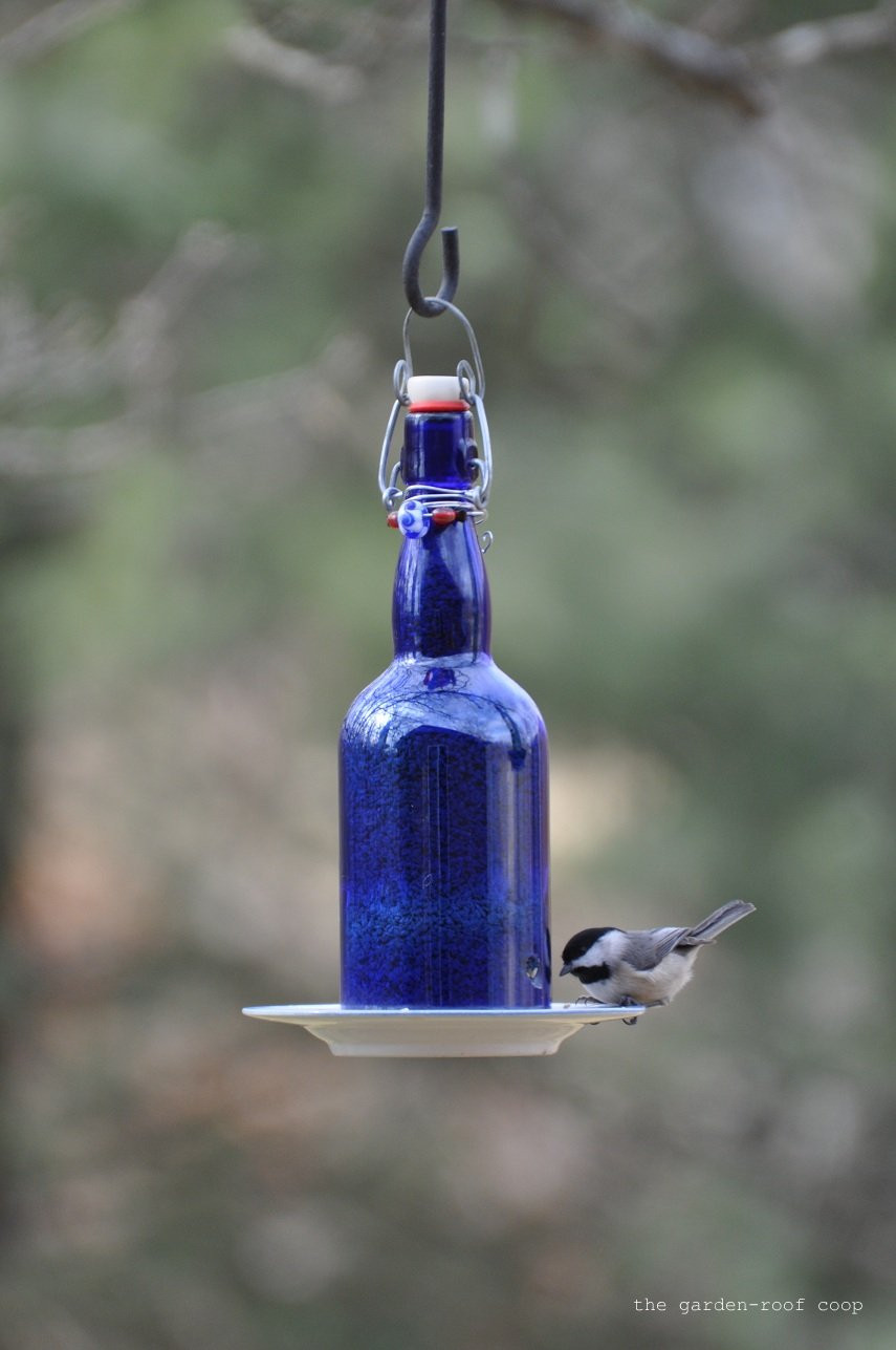 Best ideas about Bird Feeder DIY
. Save or Pin the garden roof coop DIY Wine Bottle Bird Feeders Now.