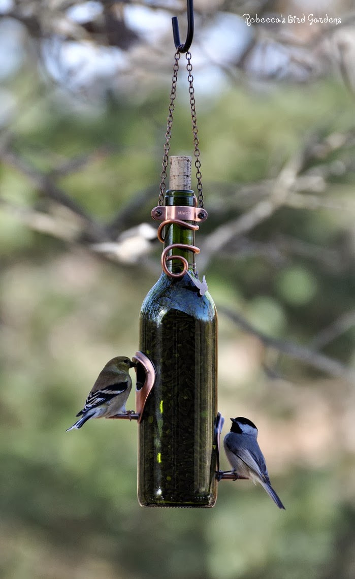 Best ideas about Bird Feeder DIY
. Save or Pin the garden roof coop DIY Wine Bottle Bird Feeders Now.