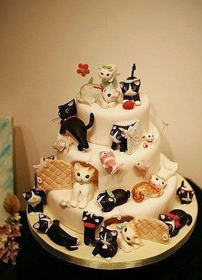 Best ideas about Birthday Cake For Cats
. Save or Pin 35 best Cats Cakes images on Pinterest Now.