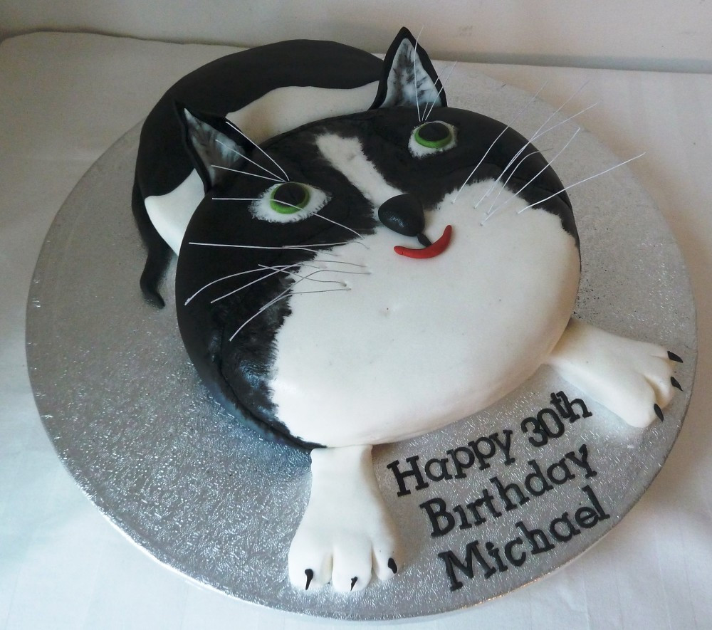 Best ideas about Birthday Cake For Cats
. Save or Pin CAT BIRTHDAY CAKE Fomanda Gasa Now.