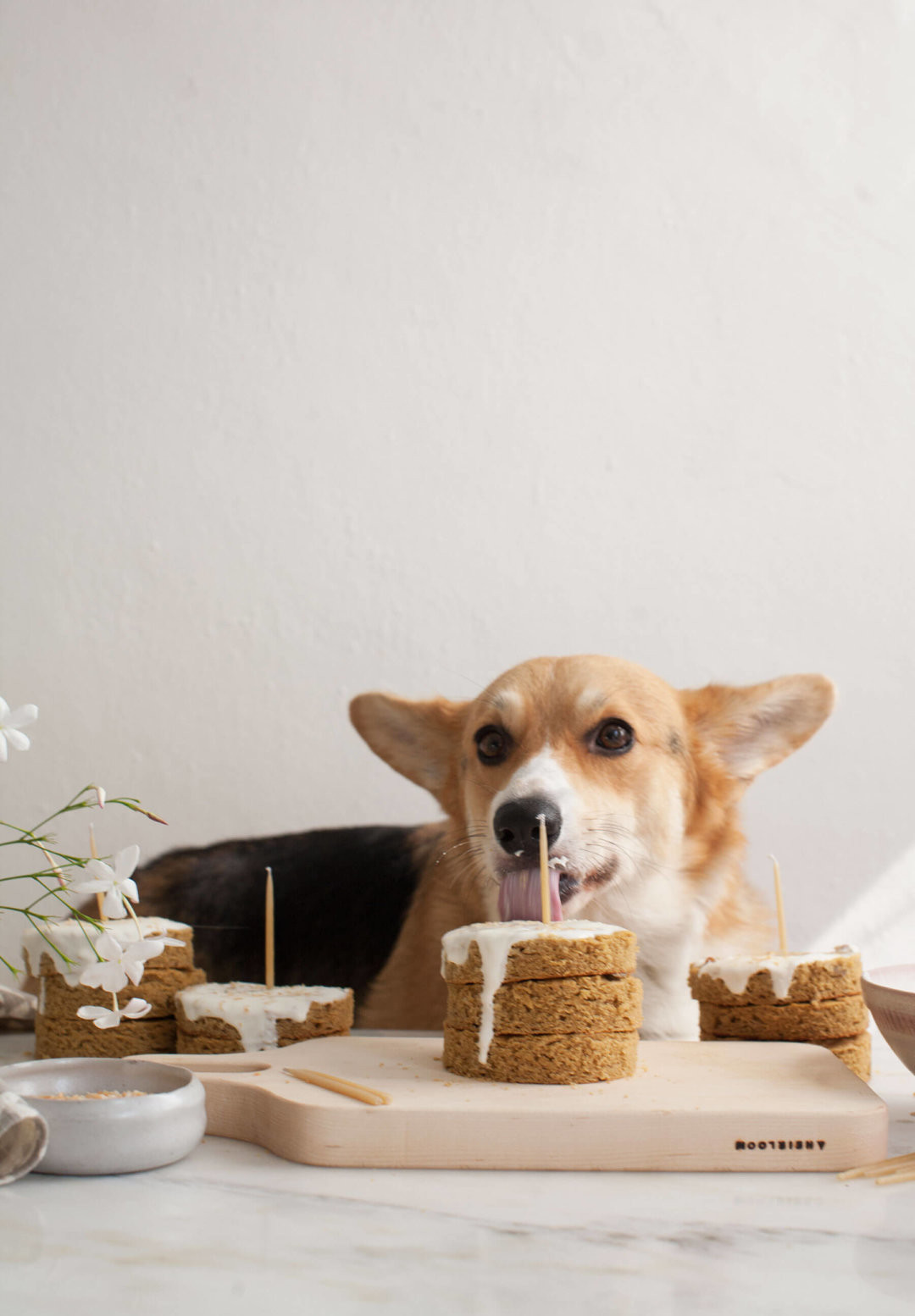 Best ideas about Birthday Cake For Dogs
. Save or Pin Grain Free Mini Dog Cakes…for Amelia’s Birthday – A Cozy Now.