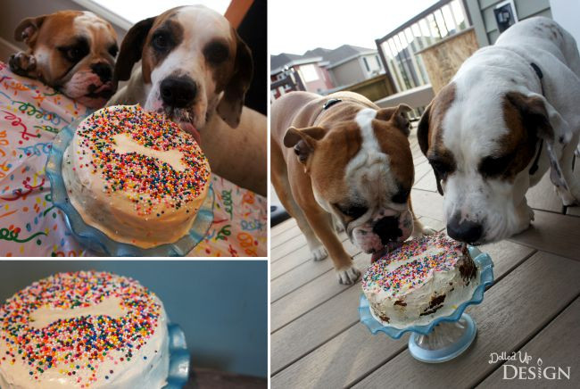 Best ideas about Birthday Cake For Dogs
. Save or Pin Puppy Cake Recipe Idea Moms & Munchkins Now.