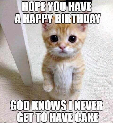 Best ideas about Birthday Cake Meme
. Save or Pin Funny Birthday Meme & Now.