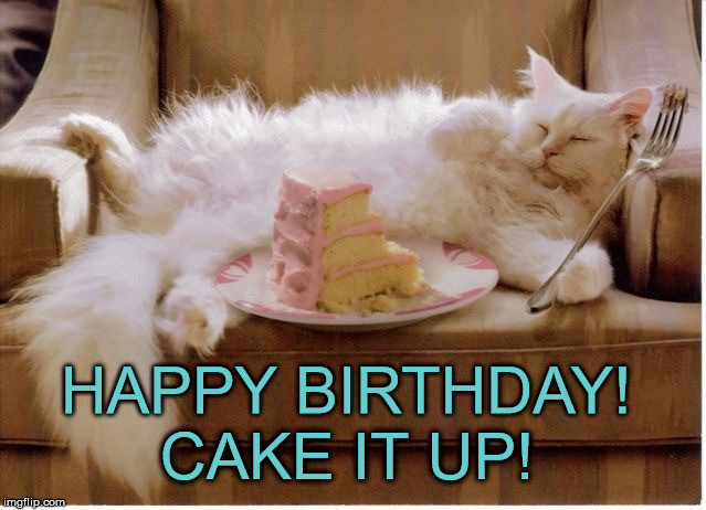 Best ideas about Birthday Cake Meme
. Save or Pin Birthday Fat Cat Imgflip Now.