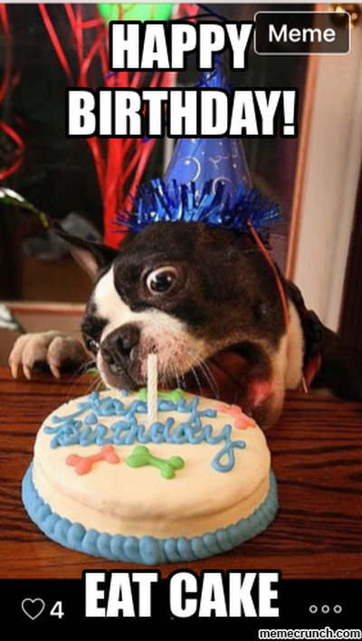 Best ideas about Birthday Cake Meme
. Save or Pin Birthday dog Now.