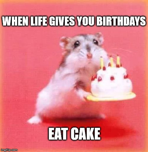 Best ideas about Birthday Cake Meme
. Save or Pin Top 100 Original and Funny Happy Birthday Memes Now.