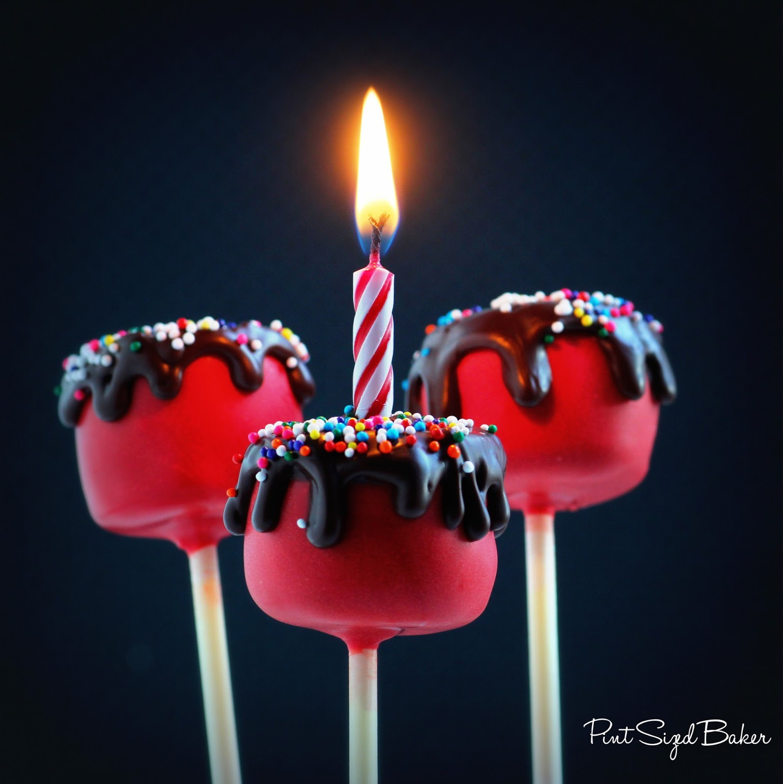 Best ideas about Birthday Cake Pops
. Save or Pin Happy Birthday Cake Cake Pops Pint Sized Baker Now.