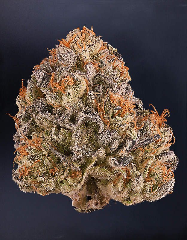 Best ideas about Birthday Cake Strain
. Save or Pin 2015 THC Classic Colorado s Best Buds and Concentrates Now.