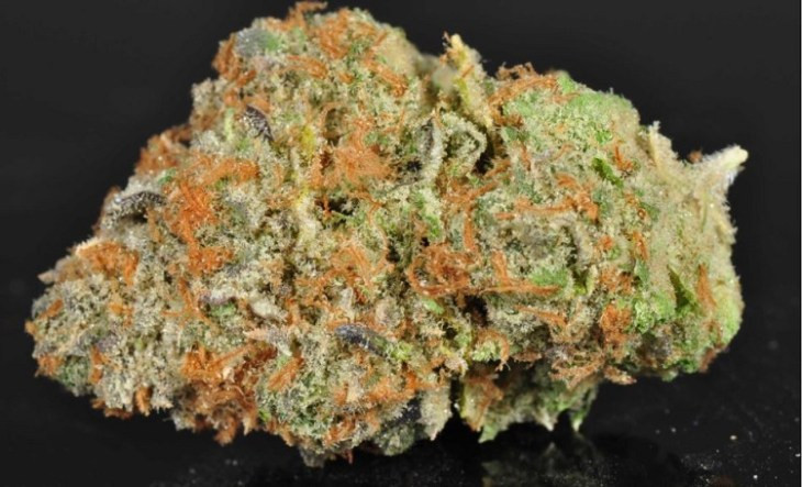 Best ideas about Birthday Cake Strain
. Save or Pin Birthday Cake Kush Now.