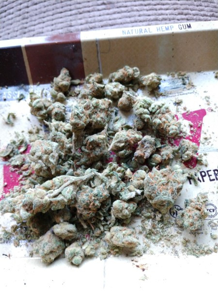 Best ideas about Birthday Cake Strain
. Save or Pin Birthday Cake Kush Marijuana Strain Reviews Now.