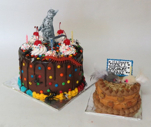 Best ideas about Birthday Cake Tumblr
. Save or Pin birthday cake ideas on Tumblr Now.