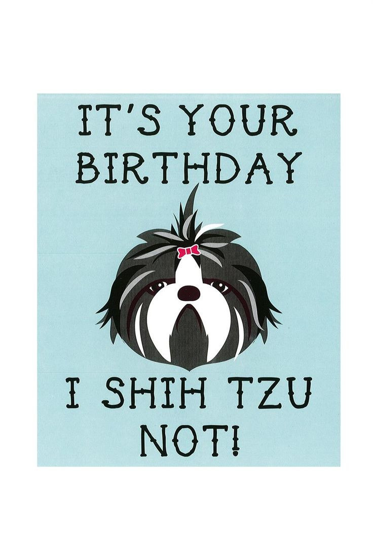 Best ideas about Birthday Card Meme
. Save or Pin Best 25 Birthday meme dog ideas on Pinterest Now.