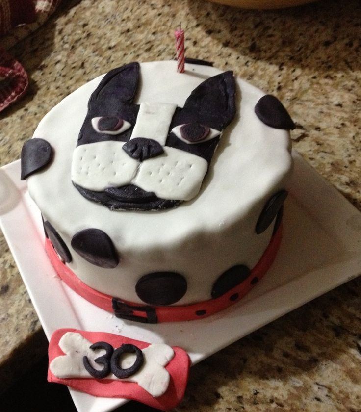 Best ideas about Birthday Ideas Boston
. Save or Pin Boston terrier cake EverydayPins Pinterest Now.