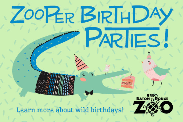 Best ideas about Birthday Party Baton Rouge
. Save or Pin Baton Rouge Area Birthday Parties A Planning Guide Now.