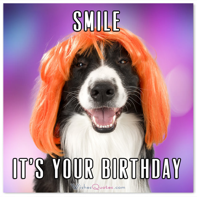 Best ideas about Birthday Pics Funny
. Save or Pin The Funniest and most Hilarious Birthday Messages and Cards Now.