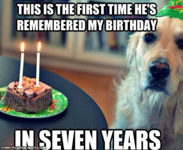 Best ideas about Birthday Pictures Funny
. Save or Pin Birthday Fun Dog Quotes QuotesGram Now.