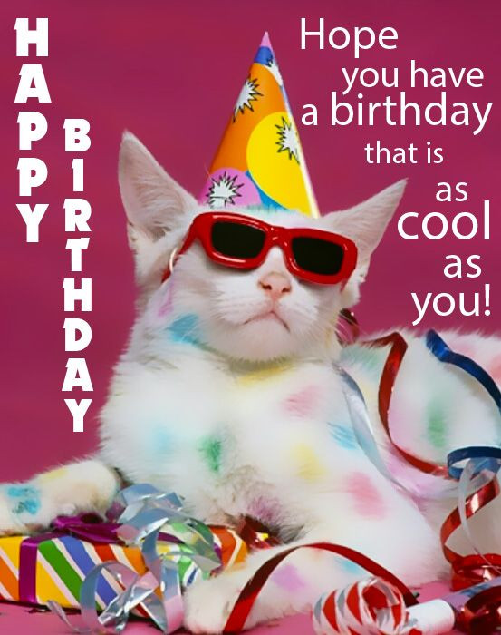 Best ideas about Birthday Pictures Funny
. Save or Pin Happy Birthday Funny Birthday eCards and Gifs Now.
