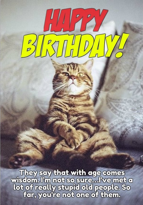 Best ideas about Birthday Pictures Funny
. Save or Pin 50 Happy Birthday Funny For Women – Yellow Octopus Now.