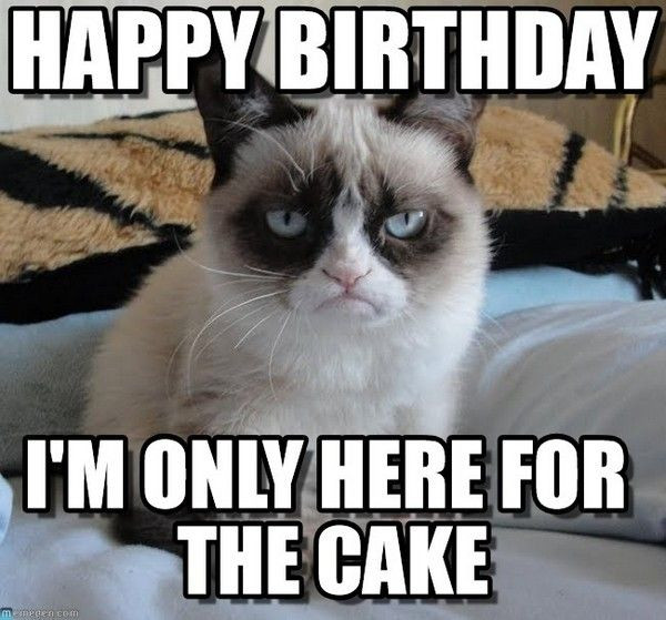 Best ideas about Birthday Wishes Meme
. Save or Pin 100 best images about Happy Birthday Meme on Pinterest Now.