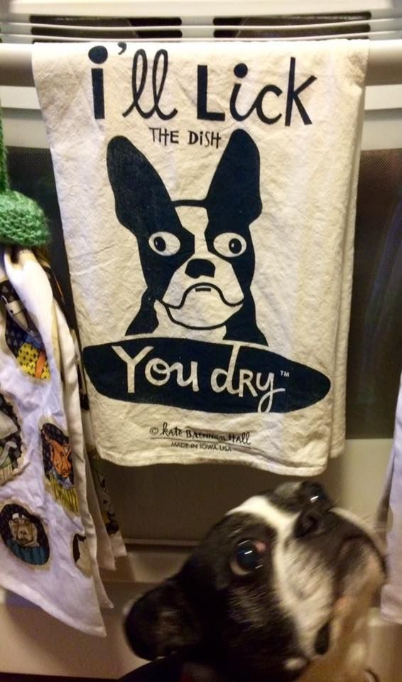 Best ideas about Boston Gift Ideas
. Save or Pin 1497 best Boston Terrier images on Pinterest Now.