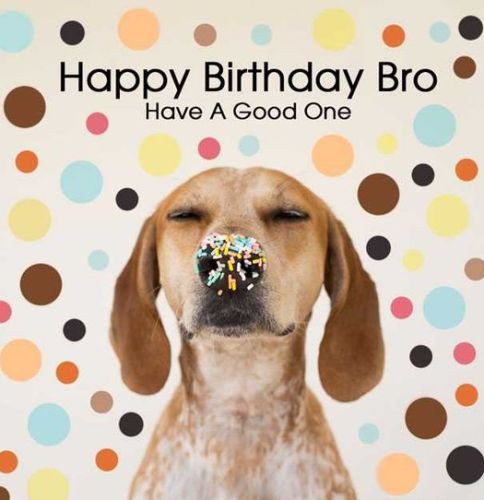 Best ideas about Brothers Birthday Funny
. Save or Pin Birthday Wishes for Brother Happy Birthday Brother Quotes Now.