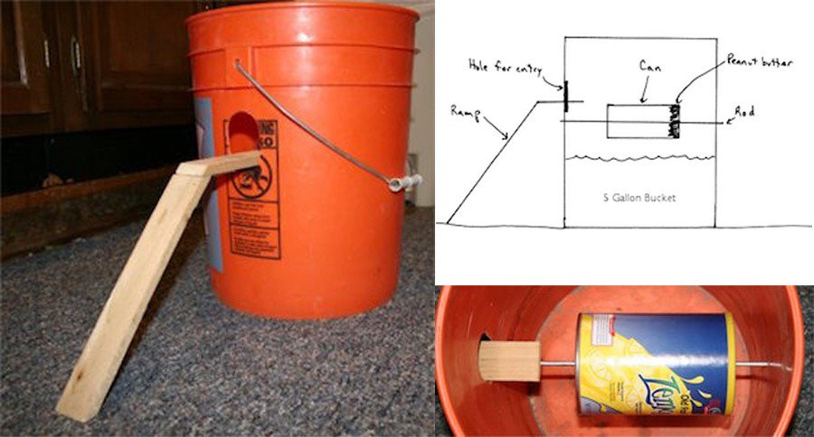 Best ideas about Bucket Mouse Trap DIY
. Save or Pin 8 Genius Mouse Traps You Can Make at Home Now.