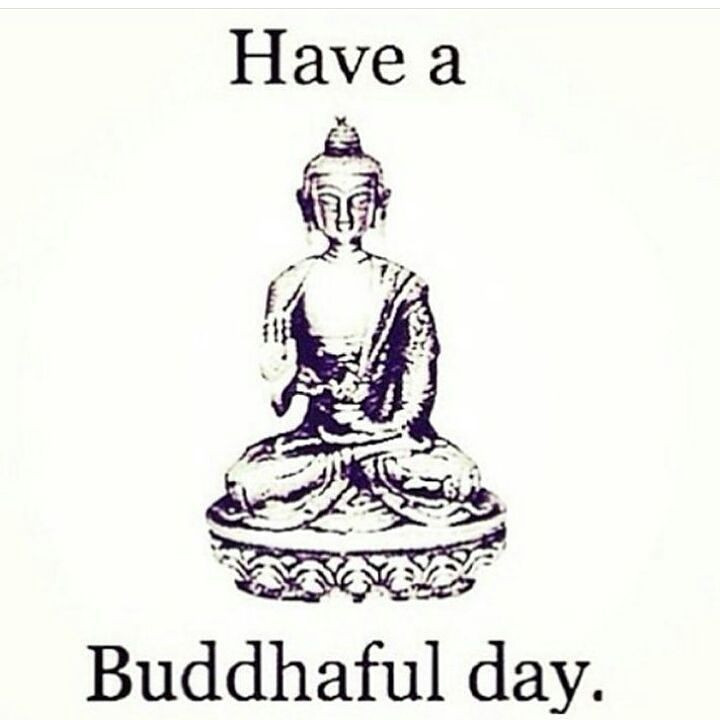 Best ideas about Buddhist Birthday Quotes
. Save or Pin Have a Buddhaful day m eye nd Wizdomly Now.