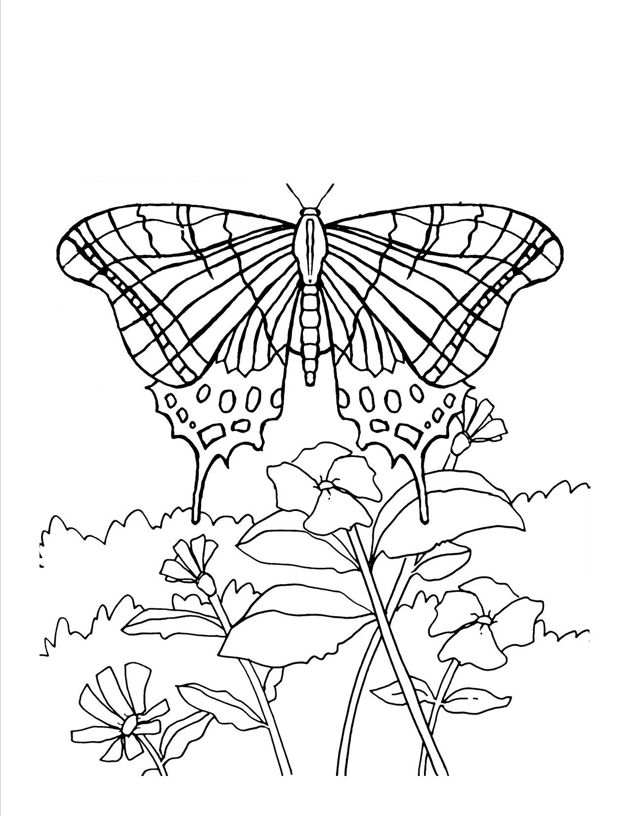 Best ideas about Butterflies Coloring Pages For Adults
. Save or Pin butterfly coloring pages for adults Now.