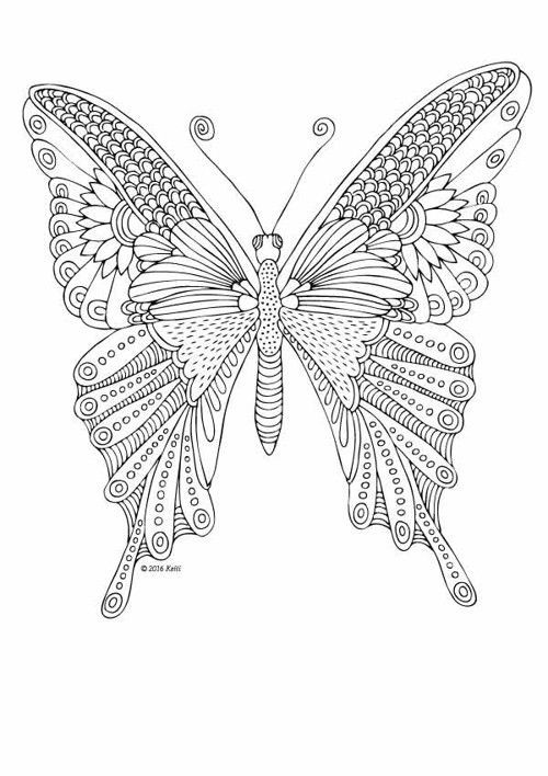 Best ideas about Butterflies Coloring Pages For Adults
. Save or Pin Motýl 8 Zbož prodejce výtvarné potřeby Now.