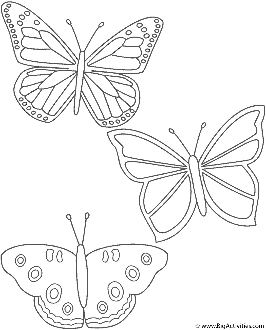 Best ideas about Butterfly Coloring Book
. Save or Pin Three Butterflies Coloring Page Insects Now.
