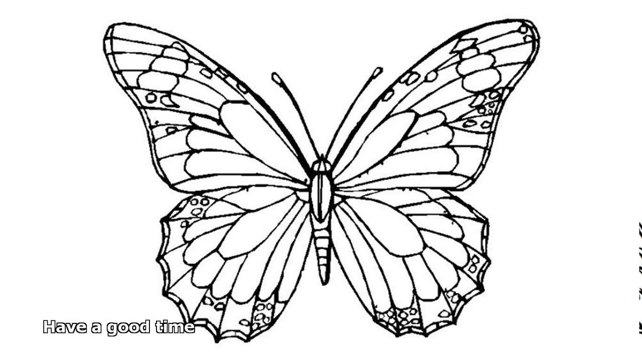 Best ideas about Butterfly Coloring Book
. Save or Pin butterfly coloring pages Now.